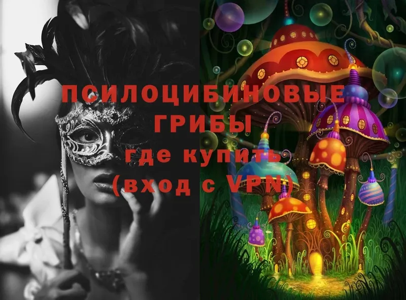 цена наркотик  Воскресенск  blacksprut как войти  Галлюциногенные грибы Psilocybine cubensis 